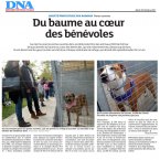 DNA 03/10/2017 Une clinique pour la SPA de Colmar