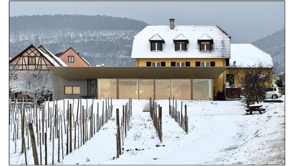 VOEGTLINSHOFFEN_Caveau de dégustation des Vins Denis Meyer & Filles